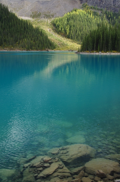 Banff NP 'Moraine  Lake Lakeshore' 16_09_2011 (234).JPG